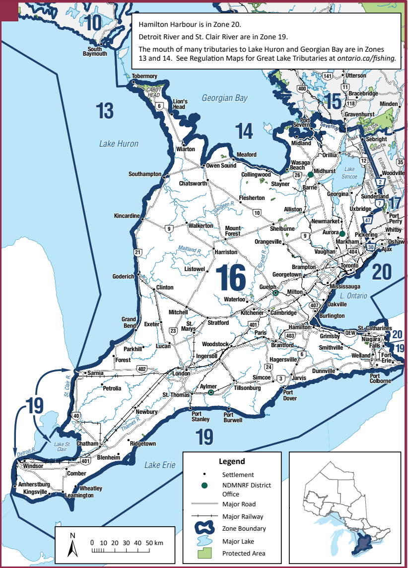 一年就免四次：父亲节免鱼牌钓鱼，我带爸爸去钓鱼！