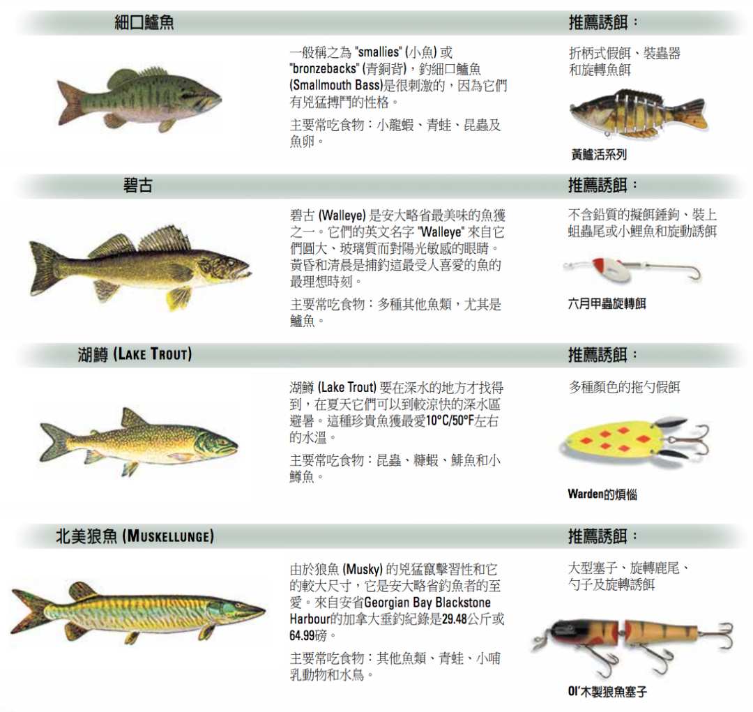 一年就免四次：父亲节免鱼牌钓鱼，我带爸爸去钓鱼！
