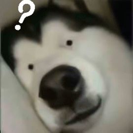 在多伦多停车太难了！老司机看完都懵的这些标识，你能看懂几个？