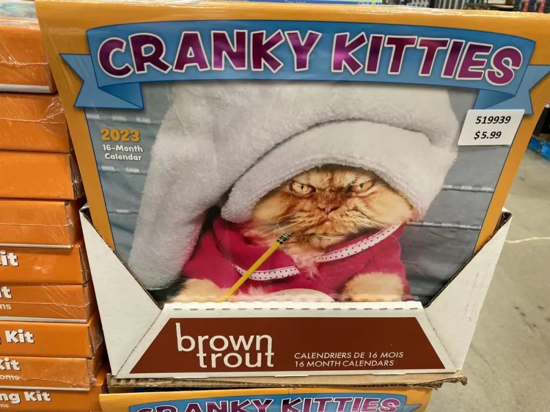 Costco本周门店实拍：哎哟，不错哦！比周杰伦新歌《最伟大的作品》还要不错哦~