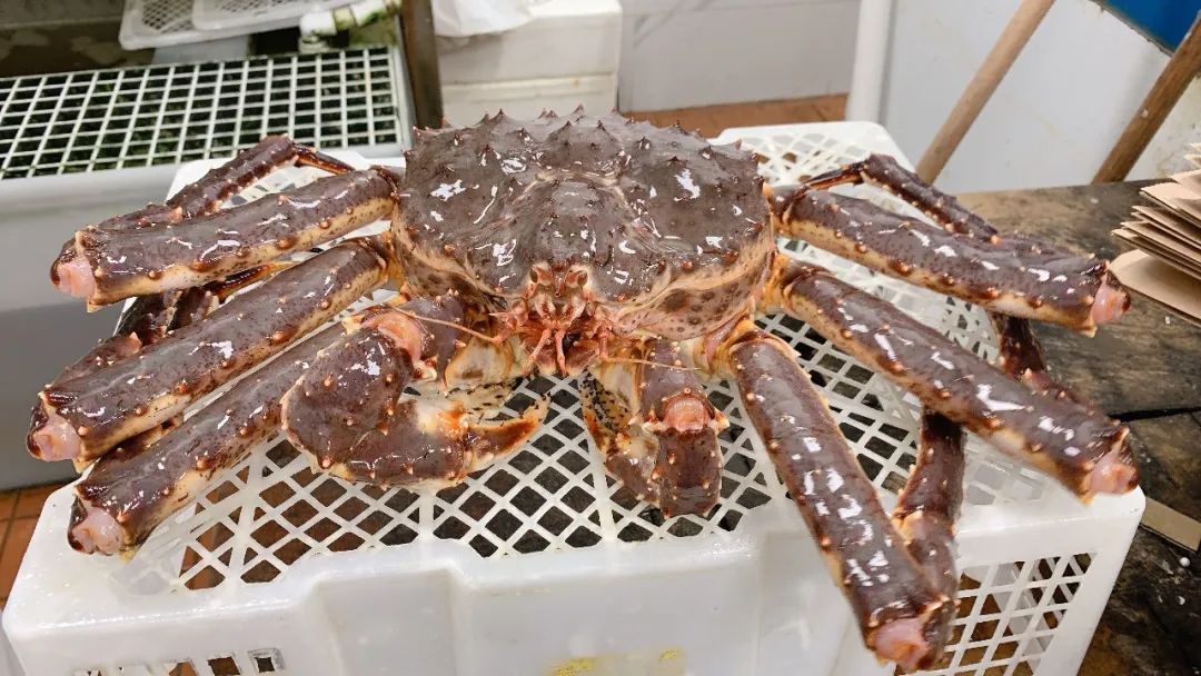 狂欢爆爆爆！这家超市中秋狂欢一降到底，怎么买都划算！温哥华蟹$8.88，中秋家宴一站式购齐~