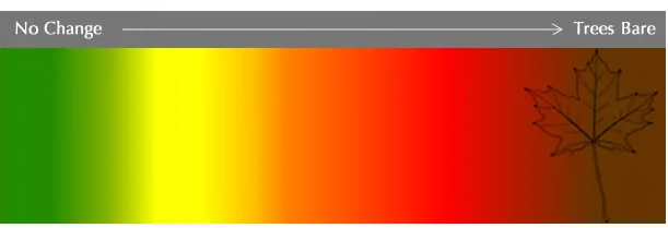 安省7个景色能封神的赏枫打卡地:当天来回,适合有娃家庭 安省7个景色能封神的赏枫打卡地:当天来回,适合有娃家庭