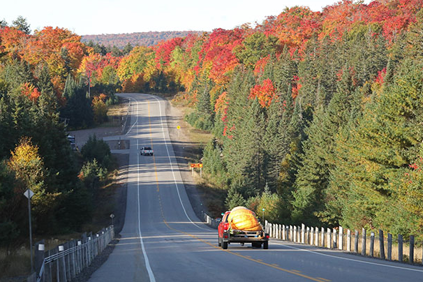 安省7个景色能封神的赏枫打卡地:当天来回,适合有娃家庭 安省7个景色能封神的赏枫打卡地:当天来回,适合有娃家庭