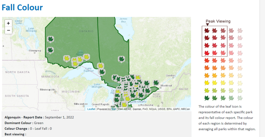 安省7个景色能封神的赏枫打卡地:当天来回,适合有娃家庭 安省7个景色能封神的赏枫打卡地:当天来回,适合有娃家庭