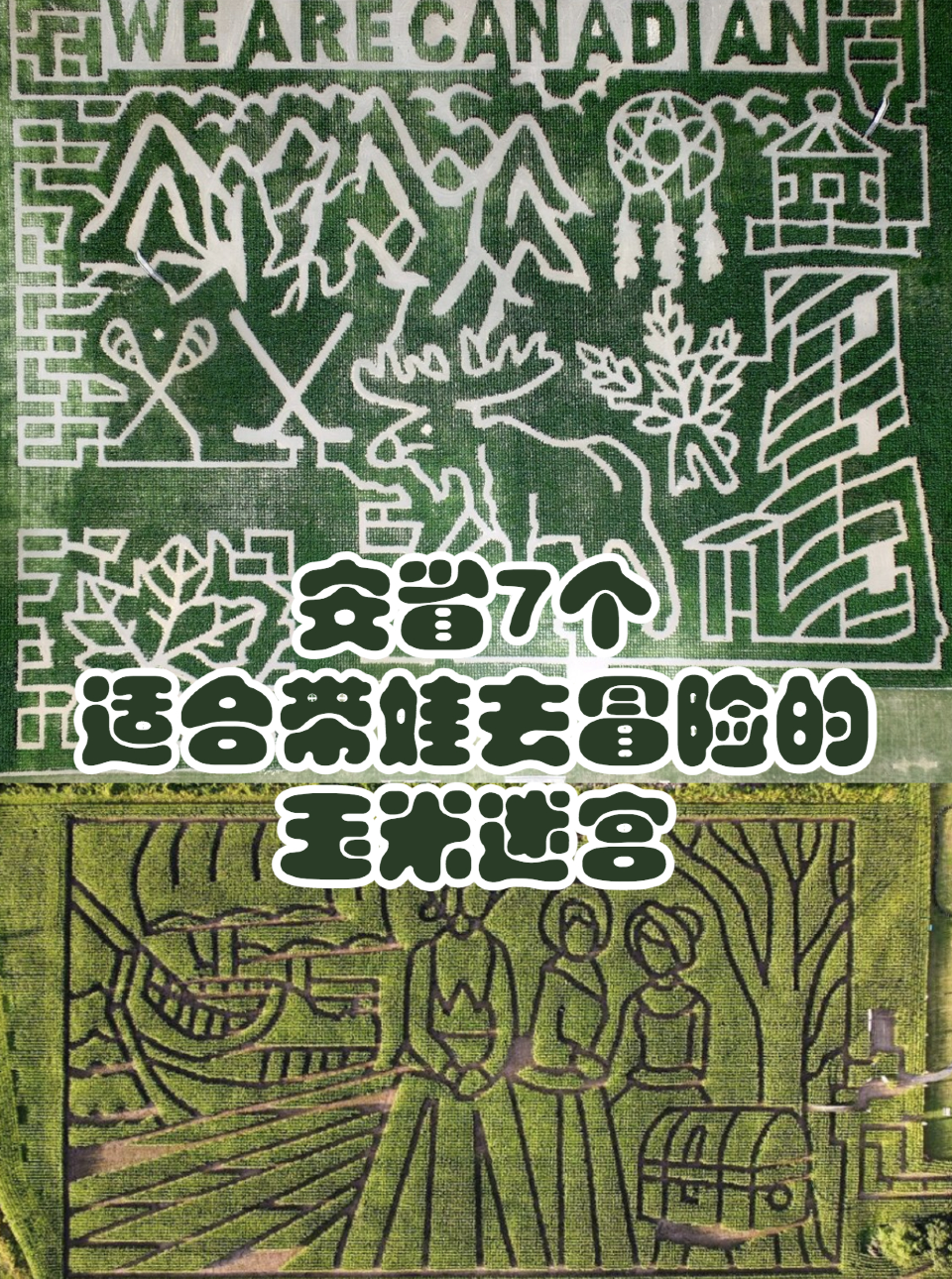 好玩的秋季嘉年华来了!10个GTA遛娃好去处任你挑! 好玩的秋季嘉年华来了!10个GTA遛娃好去处任你挑!