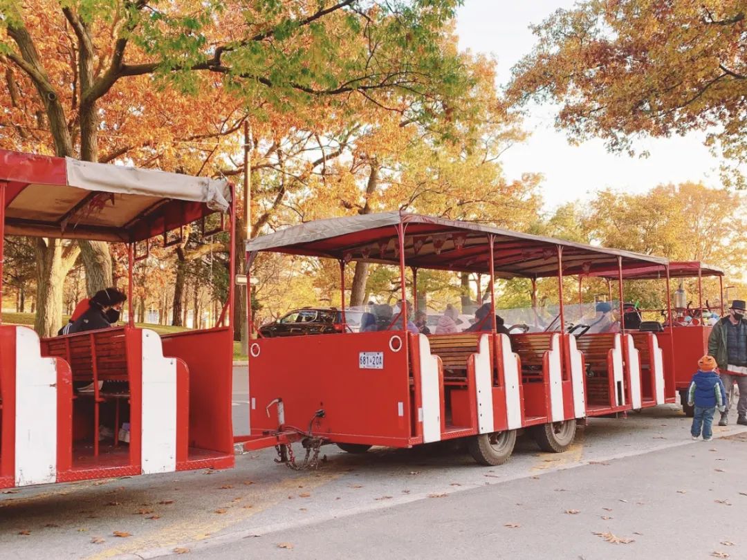 安省7个景色能封神的赏枫打卡地:当天来回,适合有娃家庭 安省7个景色能封神的赏枫打卡地:当天来回,适合有娃家庭