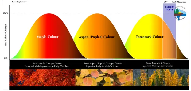 安省7个景色能封神的赏枫打卡地:当天来回,适合有娃家庭 安省7个景色能封神的赏枫打卡地:当天来回,适合有娃家庭