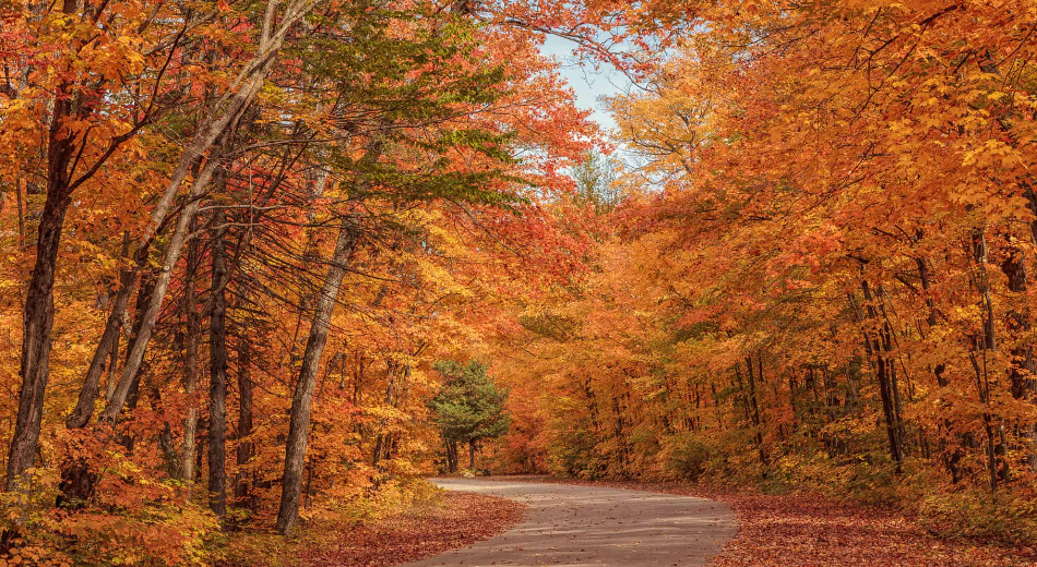安省7个景色能封神的赏枫打卡地:当天来回,适合有娃家庭 安省7个景色能封神的赏枫打卡地:当天来回,适合有娃家庭