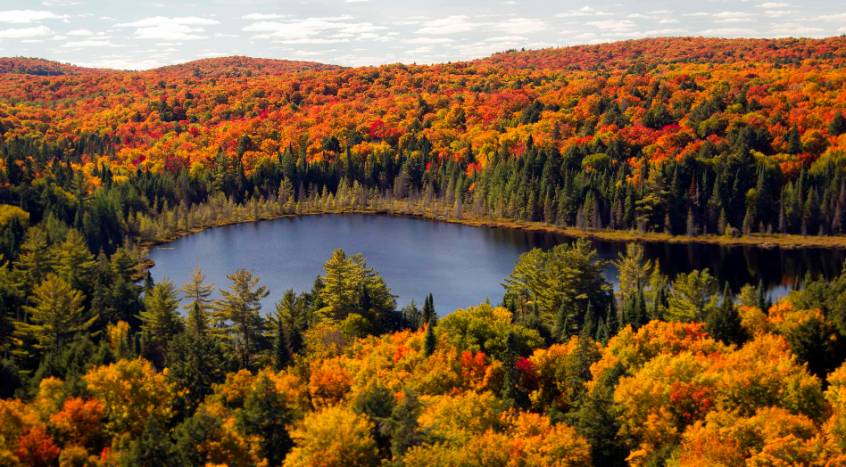 安省7个景色能封神的赏枫打卡地:当天来回,适合有娃家庭 安省7个景色能封神的赏枫打卡地:当天来回,适合有娃家庭