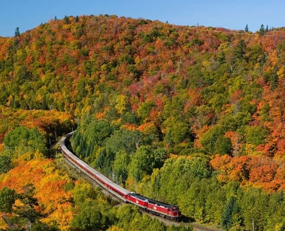 安省7个景色能封神的赏枫打卡地:当天来回,适合有娃家庭 安省7个景色能封神的赏枫打卡地:当天来回,适合有娃家庭