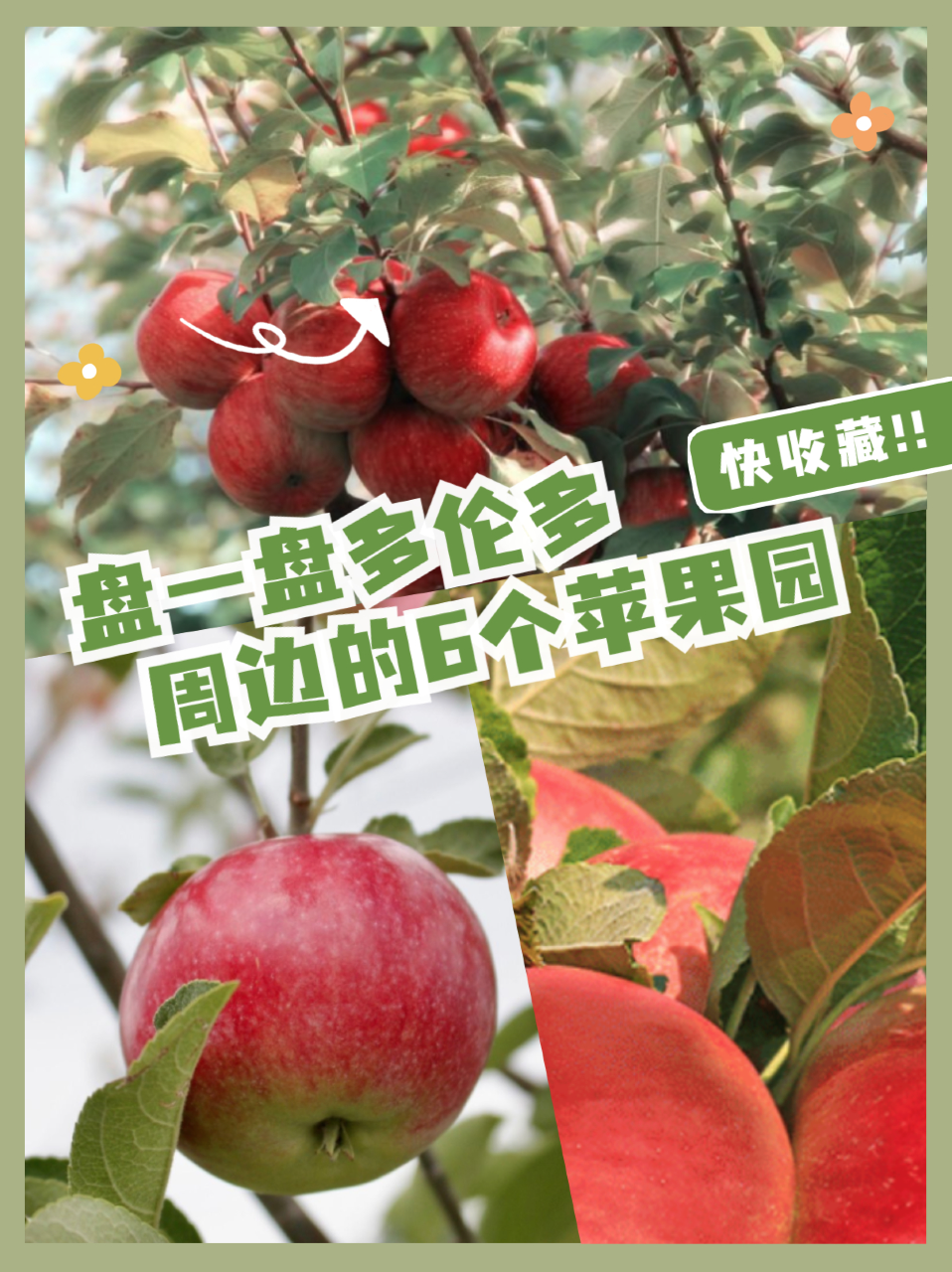 好玩的秋季嘉年华来了!10个GTA遛娃好去处任你挑! 好玩的秋季嘉年华来了!10个GTA遛娃好去处任你挑!