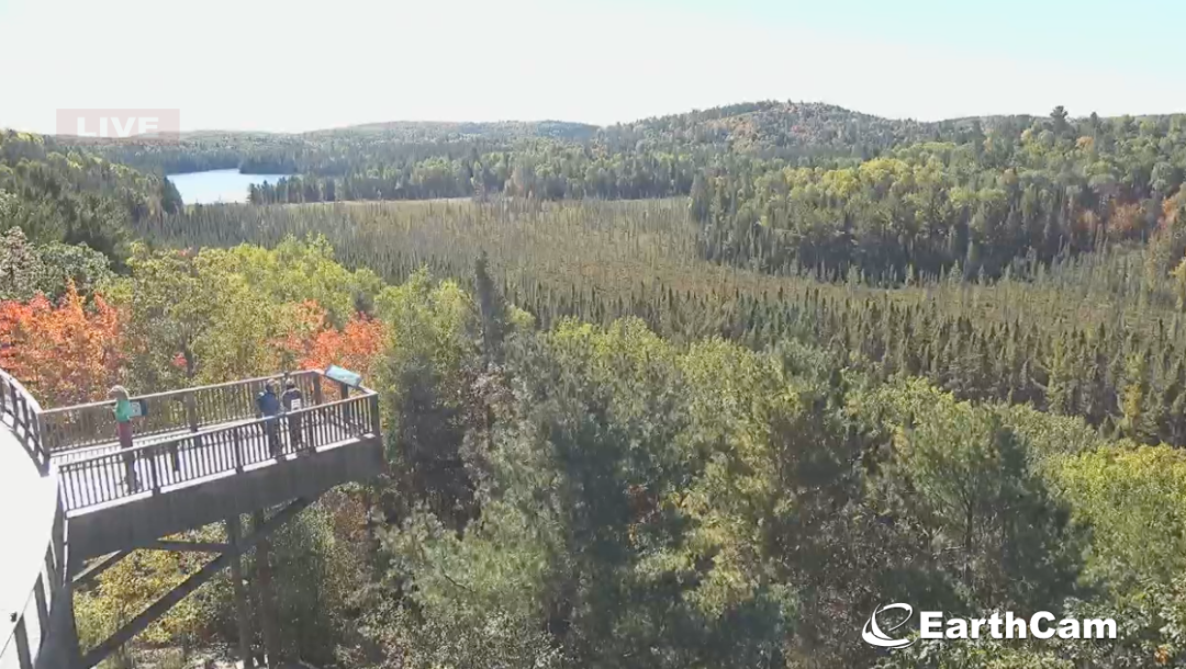 一半的叶子红了!阿岗昆红叶实拍:图文详解8条最佳赏枫路线 一半的叶子红了!阿岗昆红叶实拍:图文详解8条最佳赏枫路线