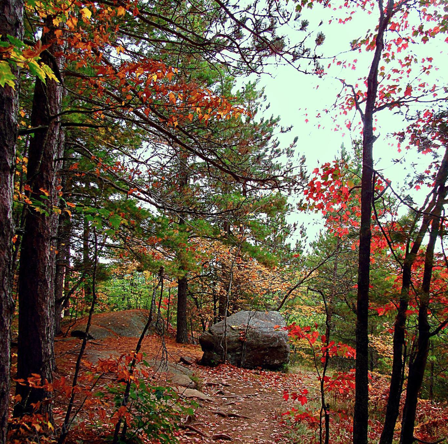 一半的叶子红了!阿岗昆红叶实拍:图文详解8条最佳赏枫路线 一半的叶子红了!阿岗昆红叶实拍:图文详解8条最佳赏枫路线