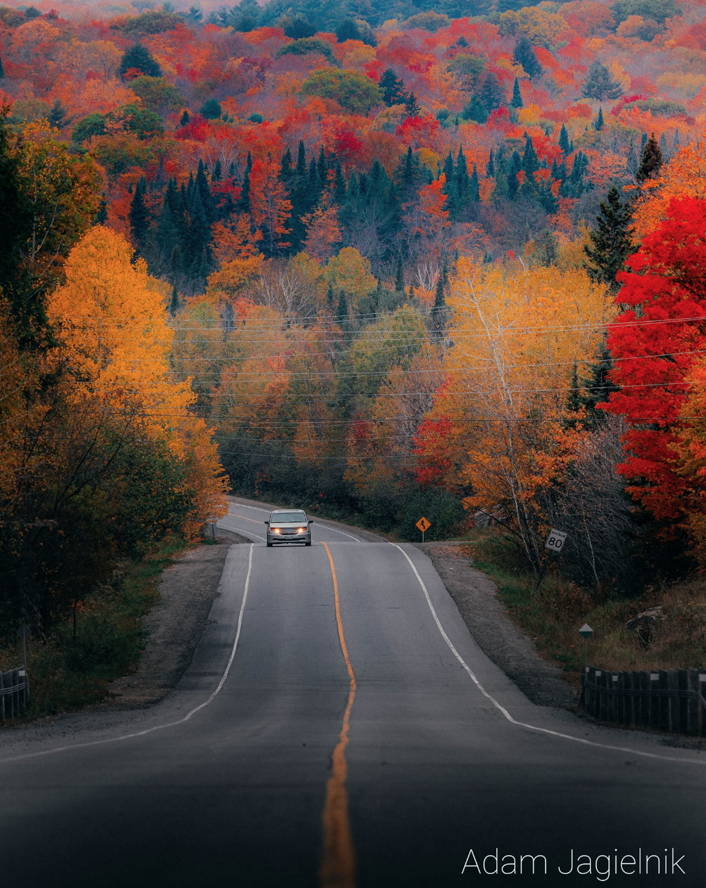 一半的叶子红了!阿岗昆红叶实拍:图文详解8条最佳赏枫路线 一半的叶子红了!阿岗昆红叶实拍:图文详解8条最佳赏枫路线