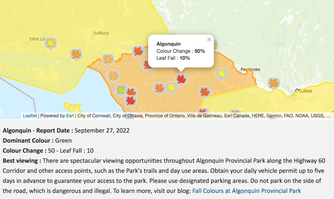 一半的叶子红了!阿岗昆红叶实拍:图文详解8条最佳赏枫路线 一半的叶子红了!阿岗昆红叶实拍:图文详解8条最佳赏枫路线