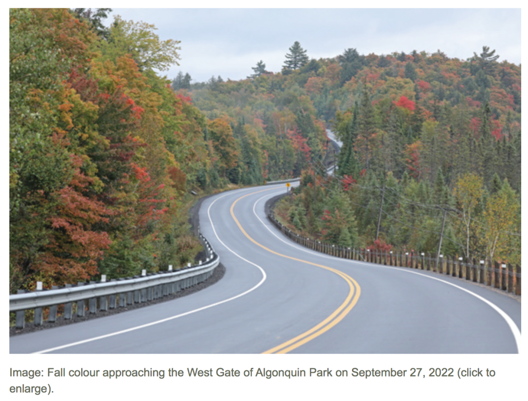一半的叶子红了!阿岗昆红叶实拍:图文详解8条最佳赏枫路线 一半的叶子红了!阿岗昆红叶实拍:图文详解8条最佳赏枫路线