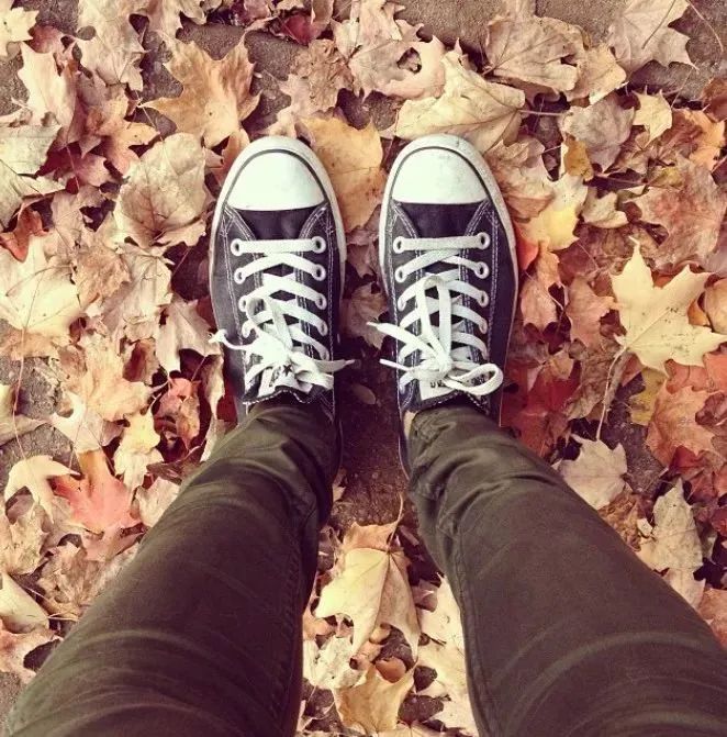 【不远不出城】最好看的枫叶就在家门口 ：多伦多这11个赏枫公园也很出圈