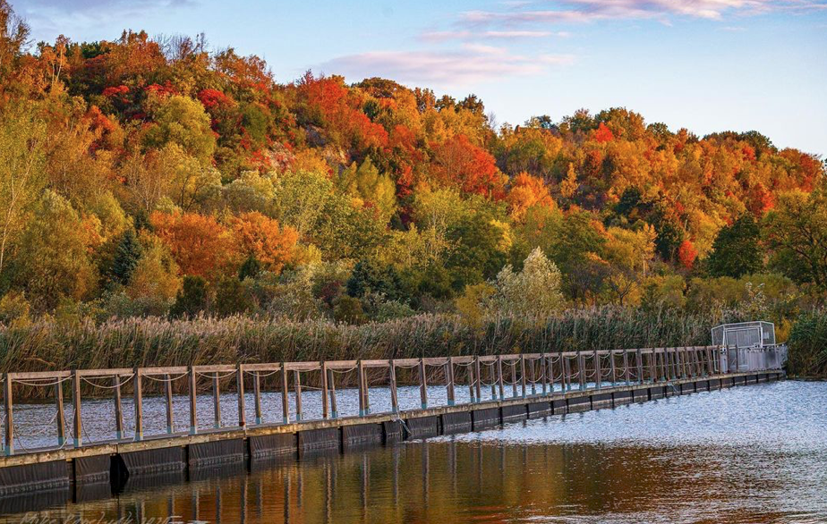 【不远不出城】最好看的枫叶就在家门口 ：多伦多这11个赏枫公园也很出圈