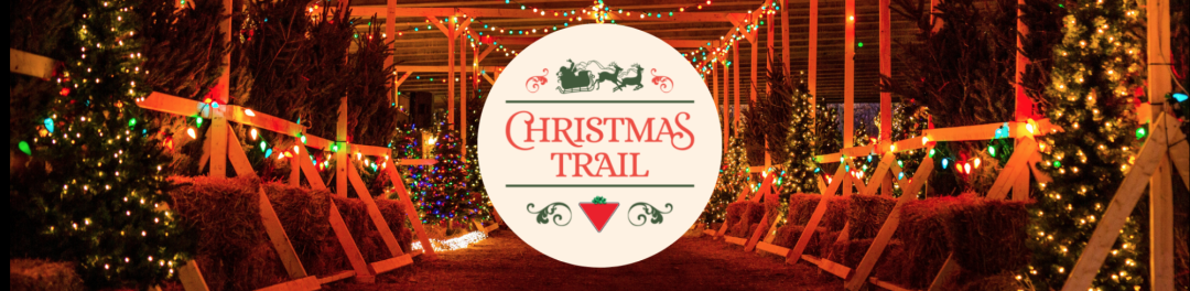 科技与狠活！轮胎店又亮了！多伦多高分圣诞灯展放票时间出来了