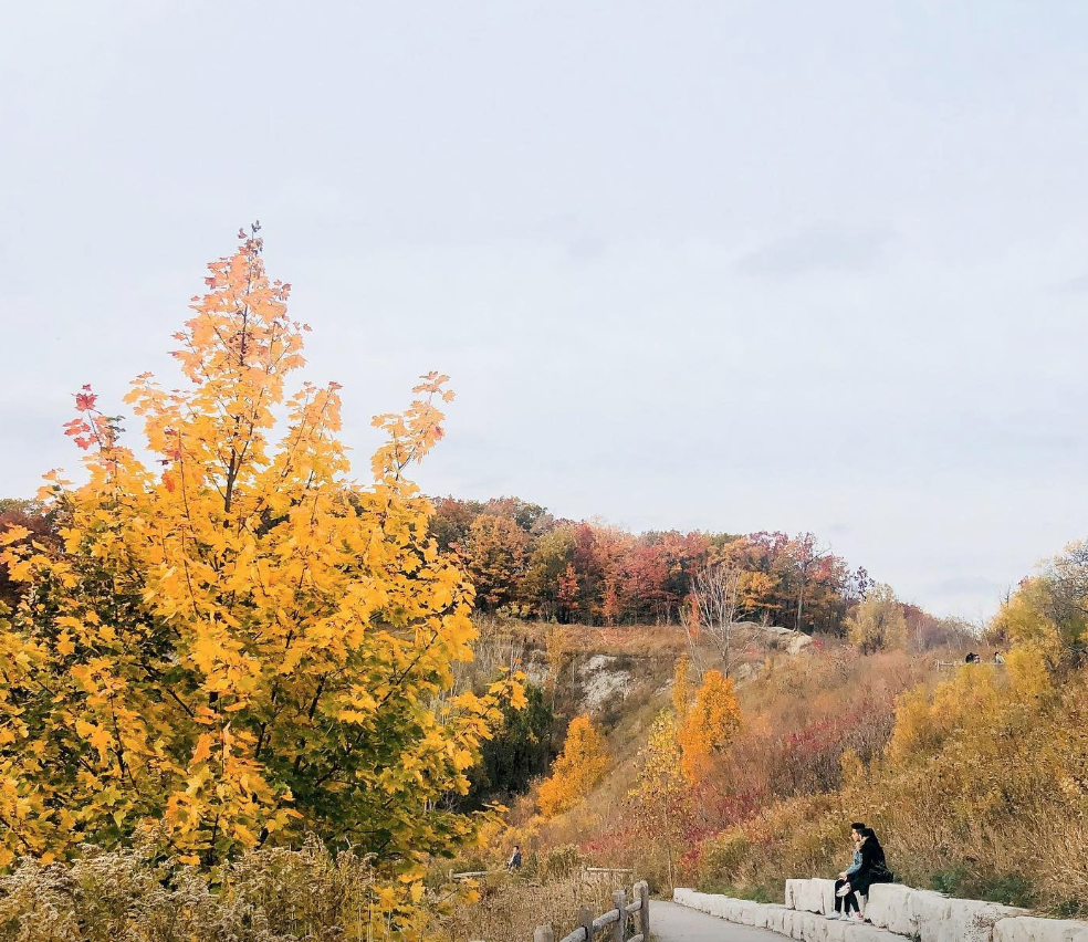 【不远不出城】最好看的枫叶就在家门口 ：多伦多这11个赏枫公园也很出圈