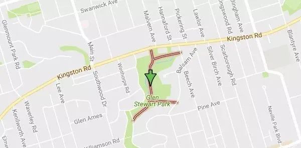 【不远不出城】最好看的枫叶就在家门口 ：多伦多这11个赏枫公园也很出圈