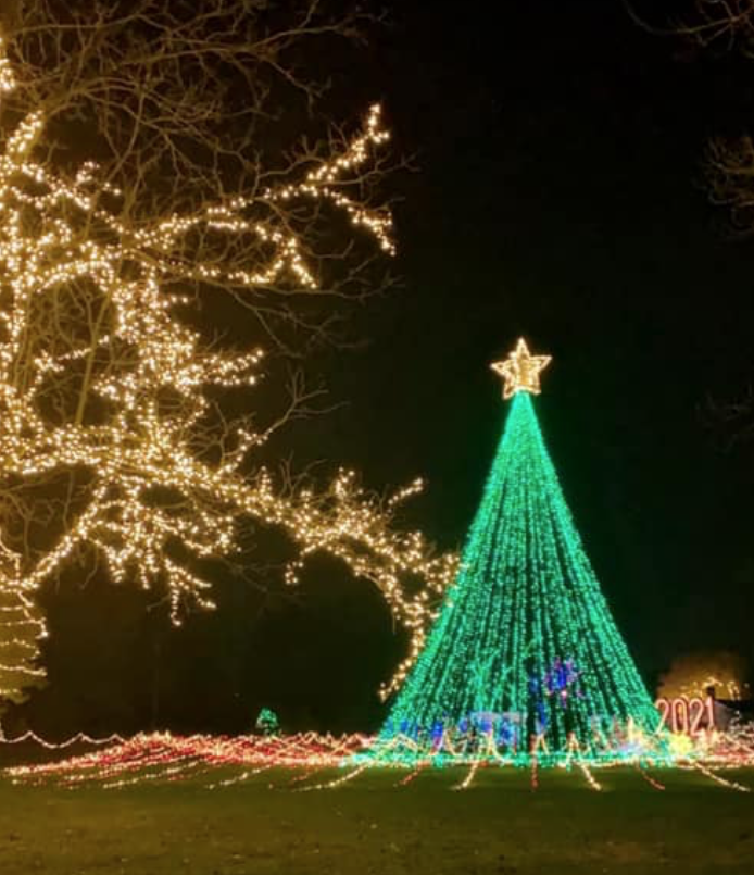 科技与狠活！轮胎店又亮了！多伦多高分圣诞灯展放票时间出来了