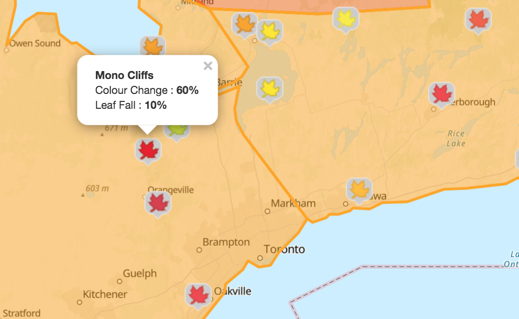 【不远不出城】最好看的枫叶就在家门口 ：多伦多这11个赏枫公园也很出圈