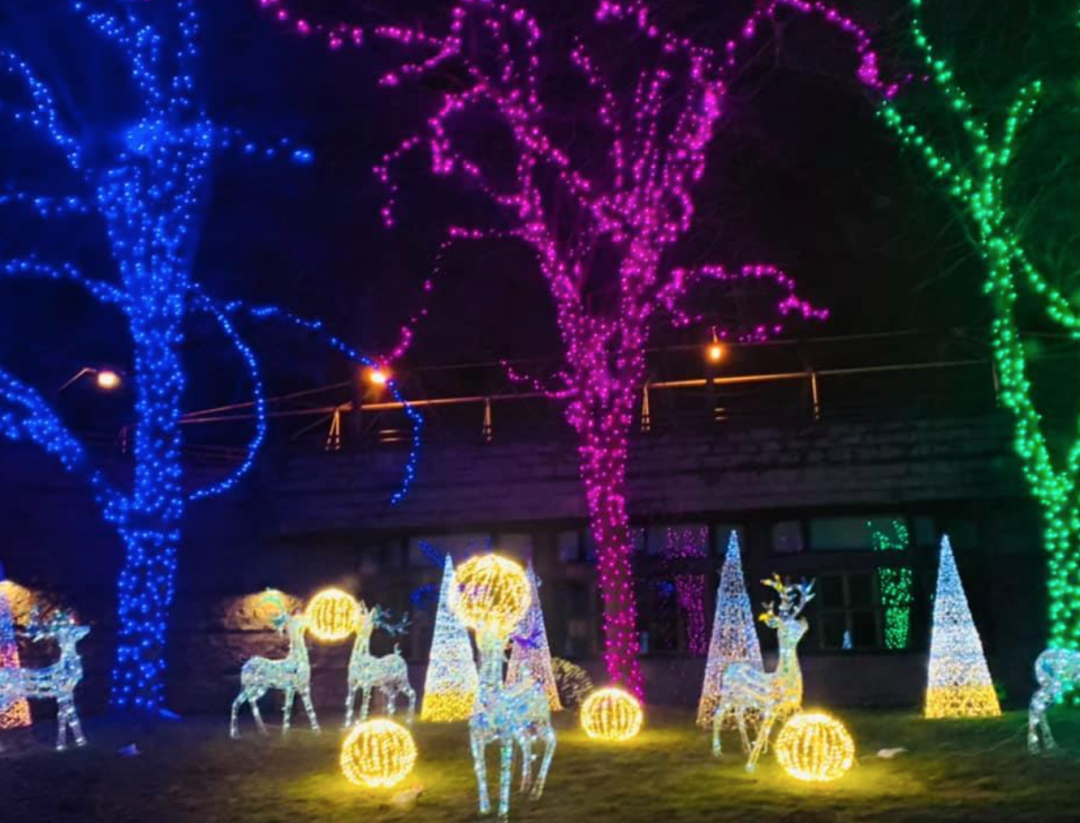 科技与狠活！轮胎店又亮了！多伦多高分圣诞灯展放票时间出来了