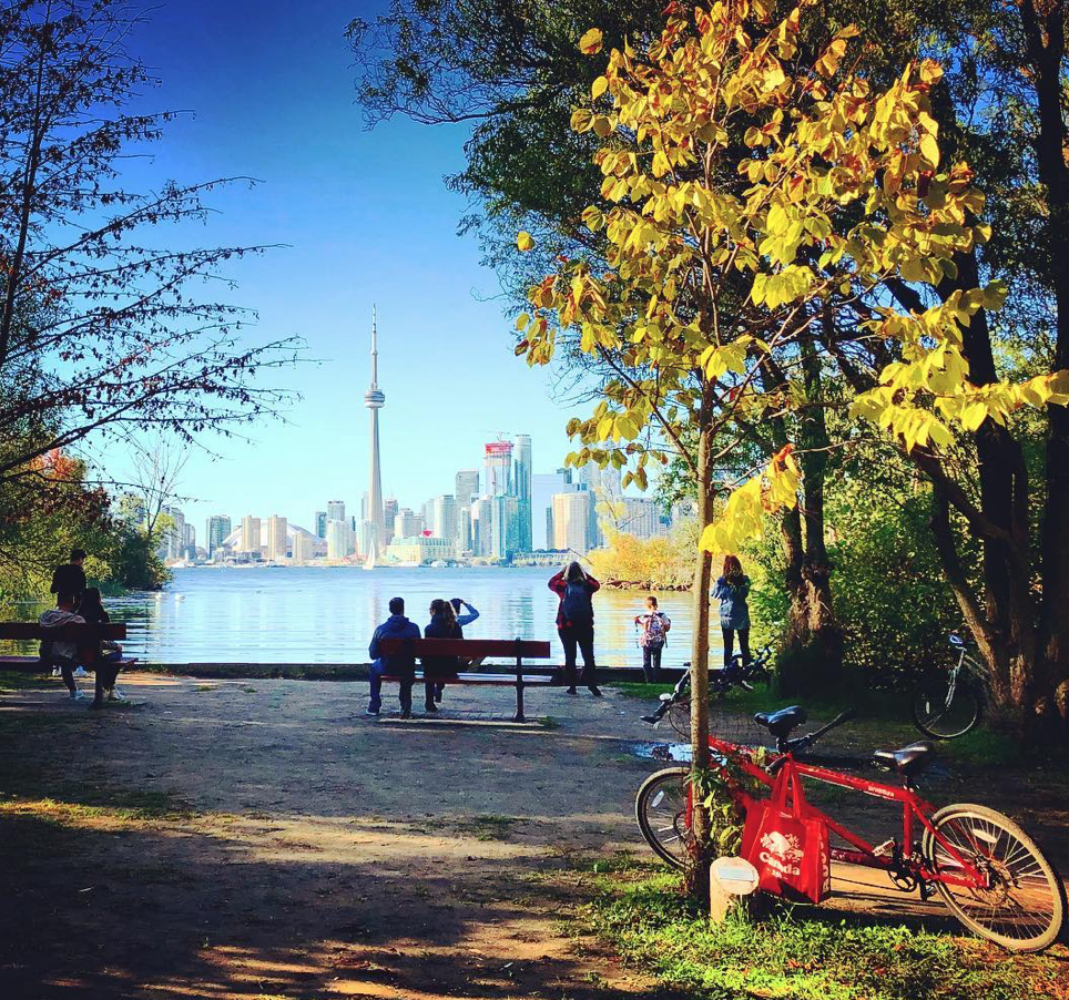 【不远不出城】最好看的枫叶就在家门口 ：多伦多这11个赏枫公园也很出圈