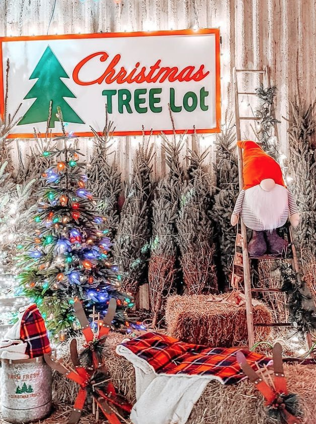 科技与狠活！轮胎店又亮了！多伦多高分圣诞灯展放票时间出来了