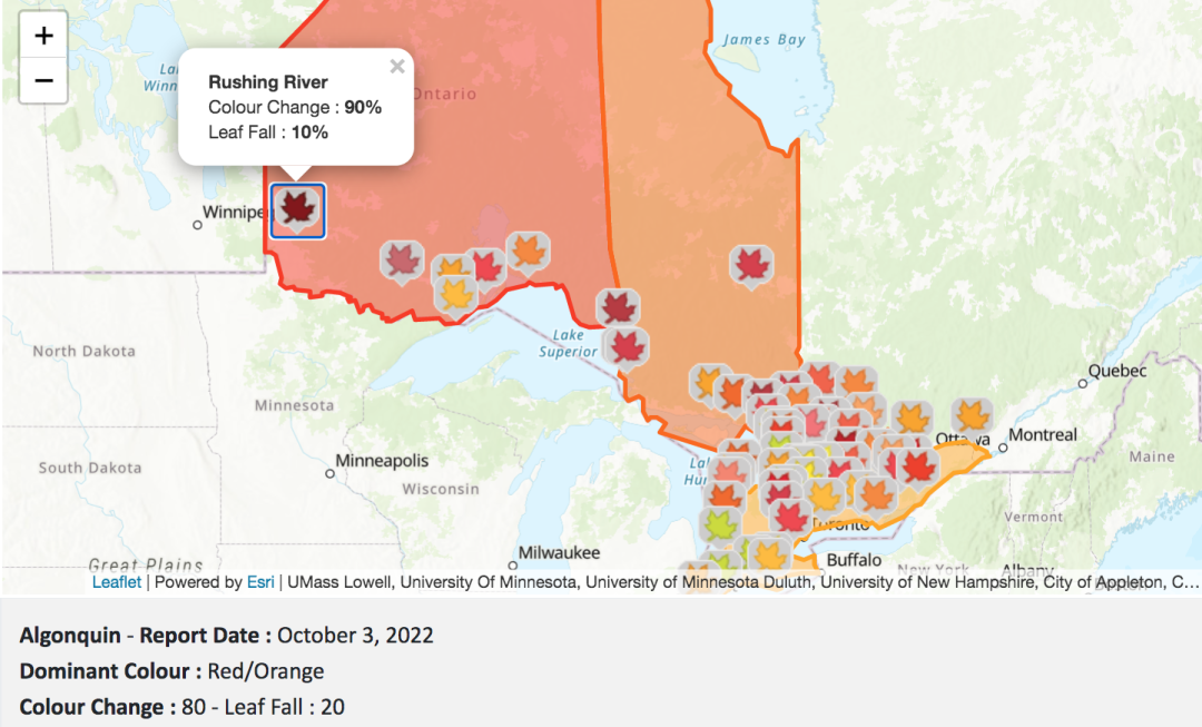【不远不出城】最好看的枫叶就在家门口 ：多伦多这11个赏枫公园也很出圈