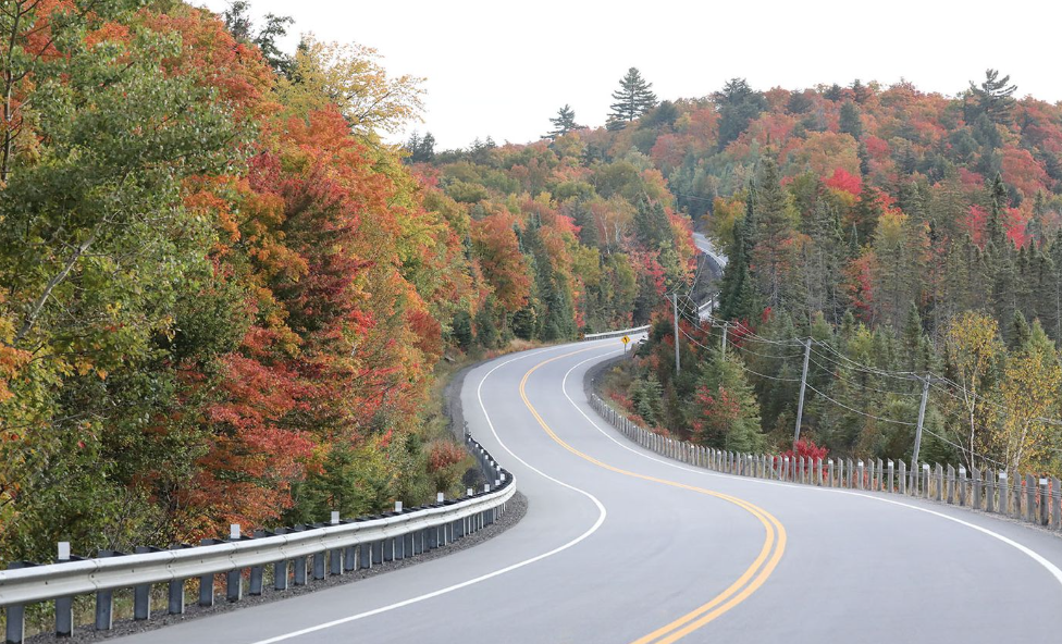 【不远不出城】最好看的枫叶就在家门口 ：多伦多这11个赏枫公园也很出圈