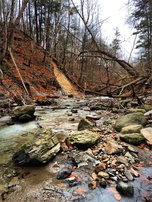 【不远不出城】最好看的枫叶就在家门口 ：多伦多这11个赏枫公园也很出圈