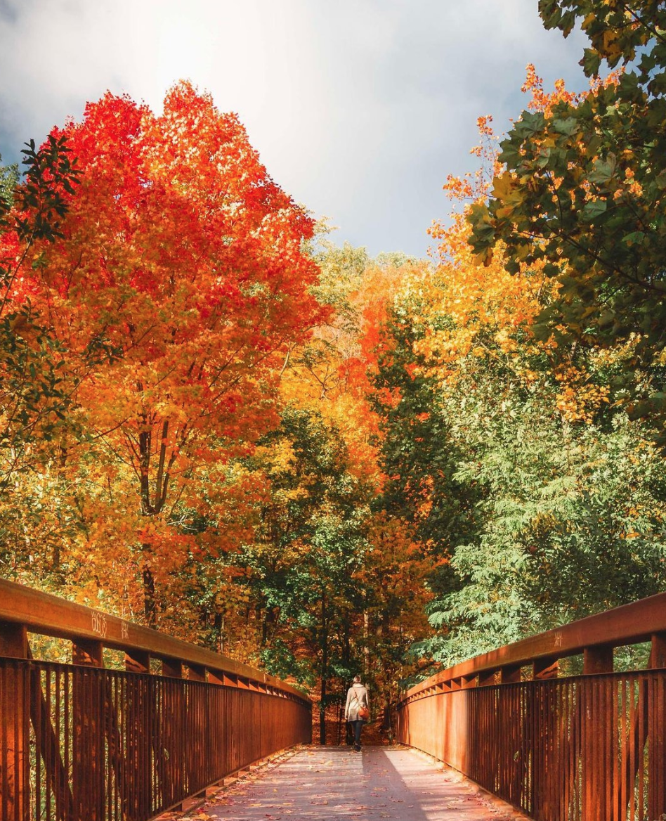 【不远不出城】最好看的枫叶就在家门口 ：多伦多这11个赏枫公园也很出圈