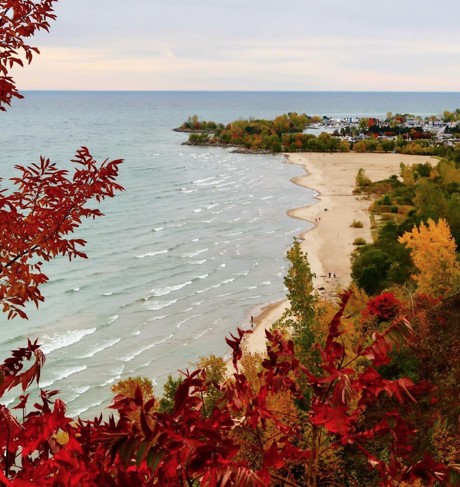 【不远不出城】最好看的枫叶就在家门口 ：多伦多这11个赏枫公园也很出圈