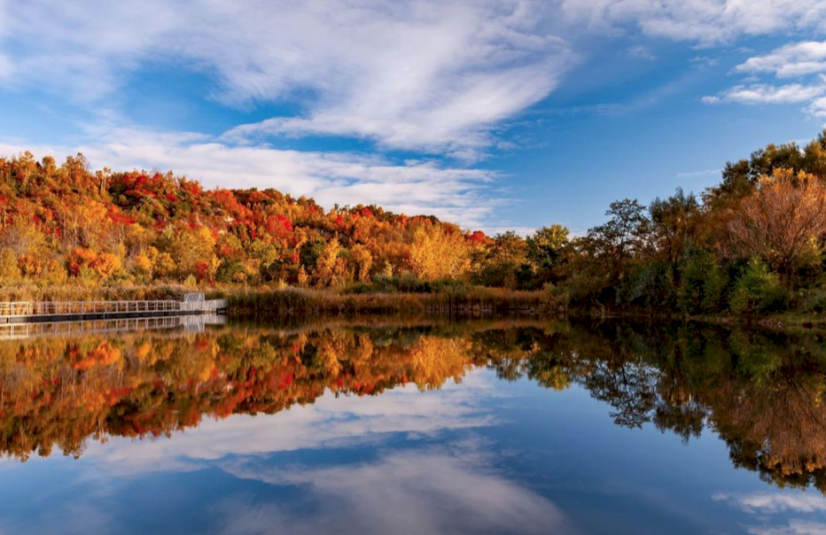 【不远不出城】最好看的枫叶就在家门口 ：多伦多这11个赏枫公园也很出圈