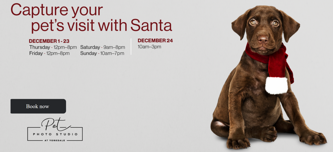 原来圣诞老人住在mall里！多伦多各大商场圣诞活动盘点：金够败吗？