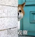 圣诞节给老师送礼物：如何才能预算内！表真心！不踩雷！