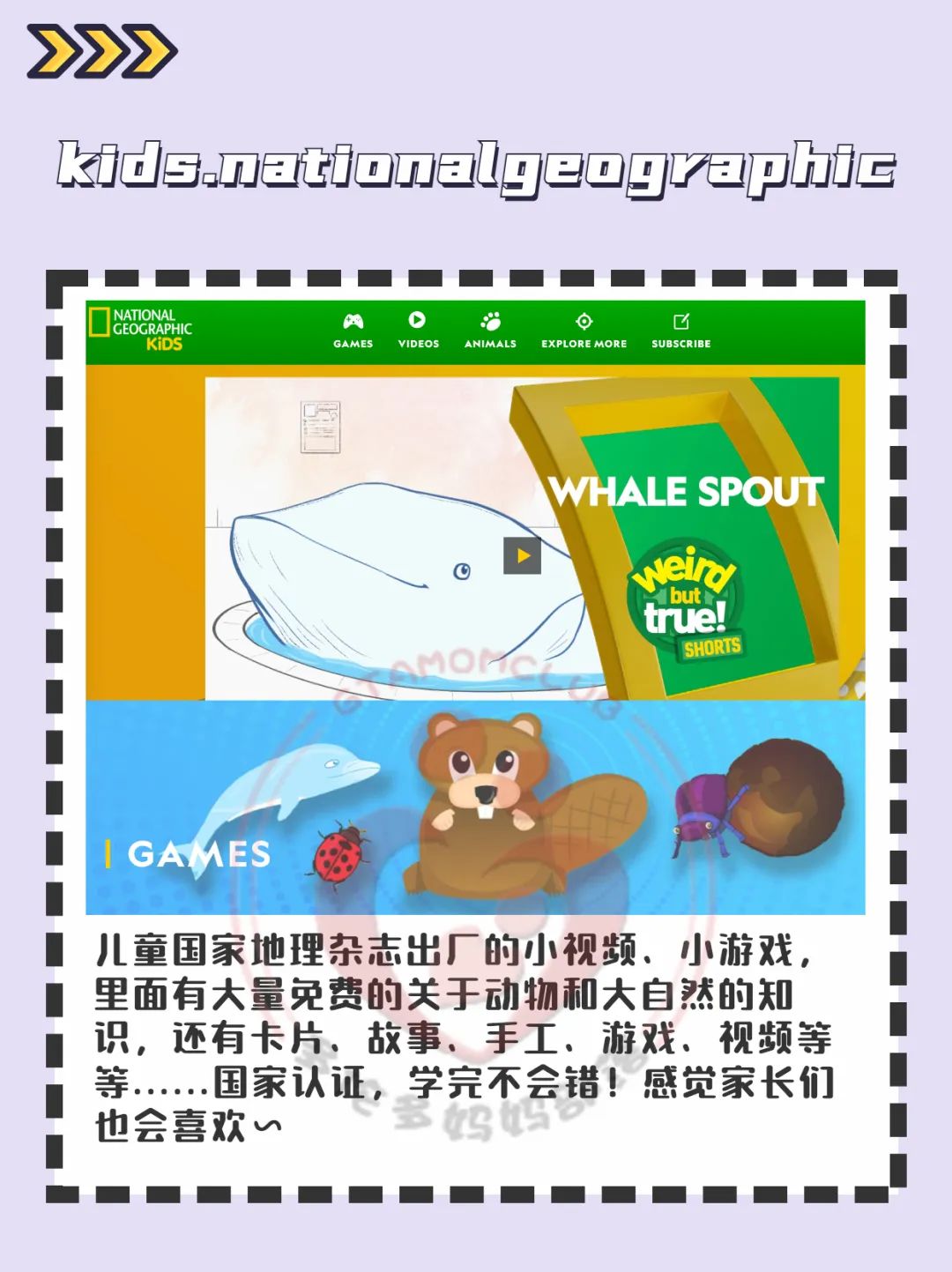 学习使我（妈）快乐第二弹：教育局和社区免费家教课程+学习资源