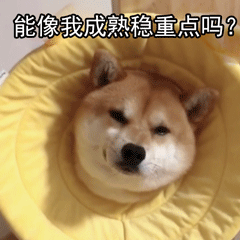 很容易出活儿的圣诞摆盘创意：给小孩太幼稚，给大人刚刚好