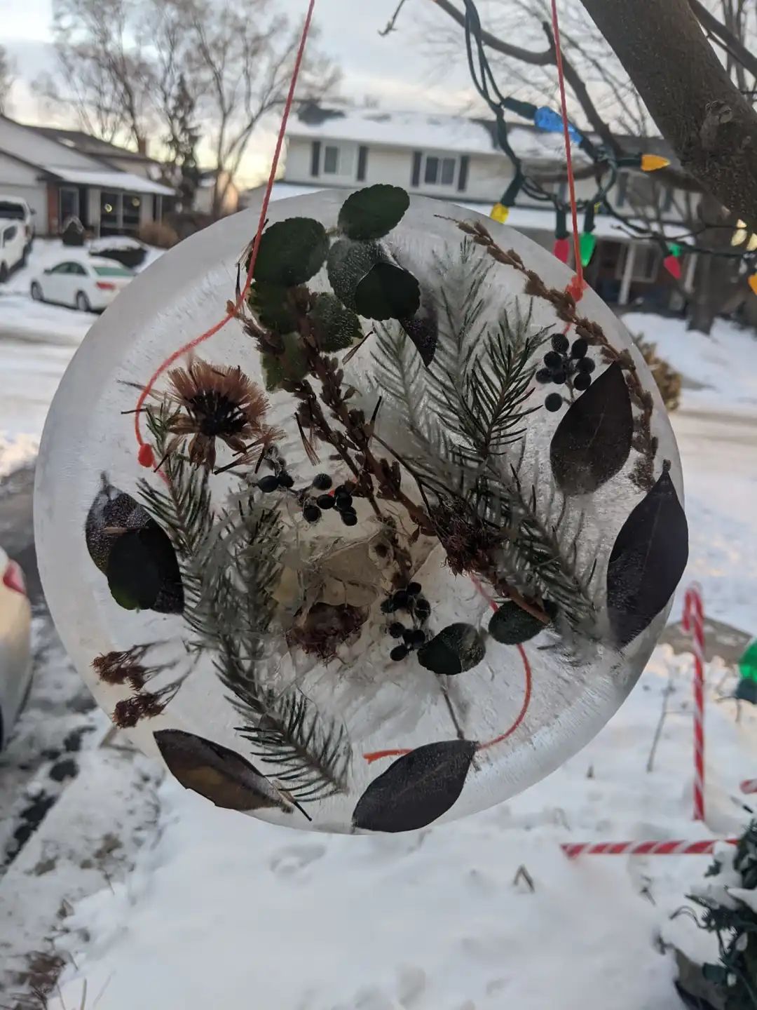 这是懂玩雪的！不出门把雪玩得明明白白：大型高能爹妈炫技现场