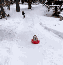 不用黄金装备!不用去雪场!零技术省钱玩雪入坑:可以玩Toboggan的公园盘点 不用黄金装备!不用去雪场!零技术省钱玩雪入坑:可以玩Toboggan的公园盘点