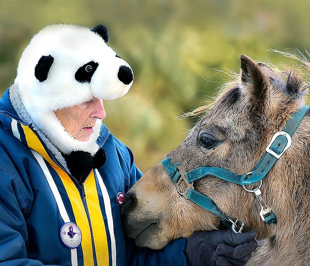 冬季高质量遛娃:多伦多周边这7个冰火嘉年华值得打卡 冬季高质量遛娃:多伦多周边这7个冰火嘉年华值得打卡