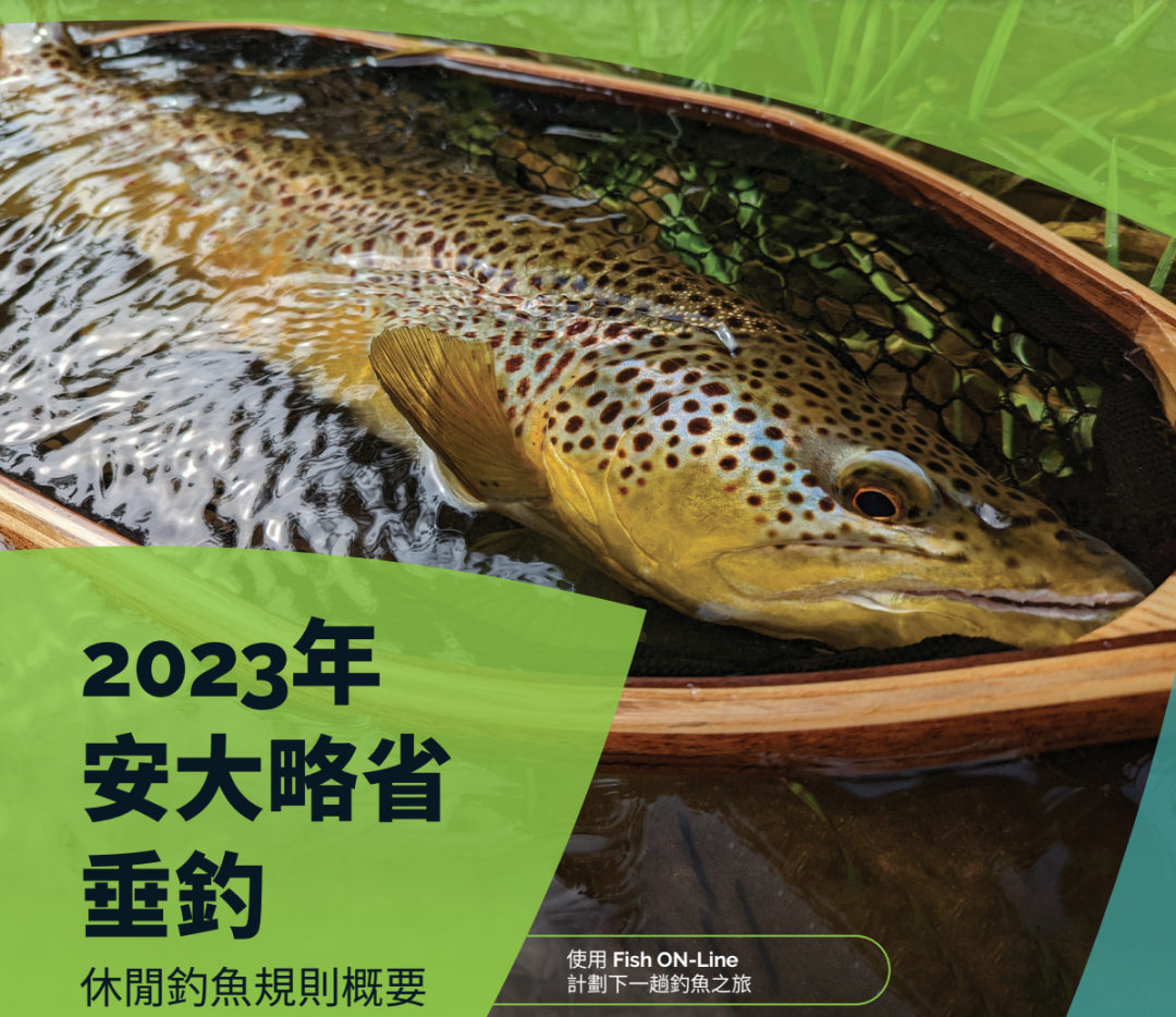 冰钓小白初体验:家庭日长周末安省免鱼牌冰钓,去哪里玩? 冰钓小白初体验:家庭日长周末安省免鱼牌冰钓,去哪里玩?