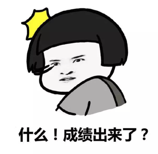 又要发成绩单了!教你看懂安省中小学成绩单:软分数和硬分数 又要发成绩单了!教你看懂安省中小学成绩单:软分数和硬分数