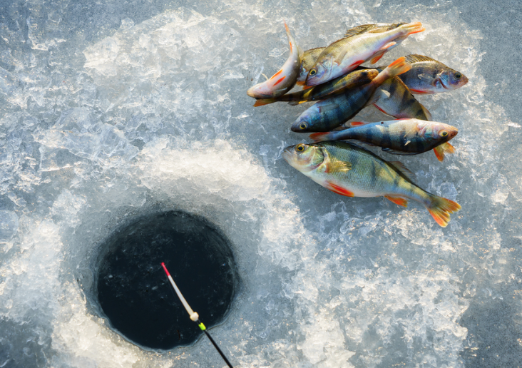 冰钓小白初体验:家庭日长周末安省免鱼牌冰钓,去哪里玩? 冰钓小白初体验:家庭日长周末安省免鱼牌冰钓,去哪里玩?