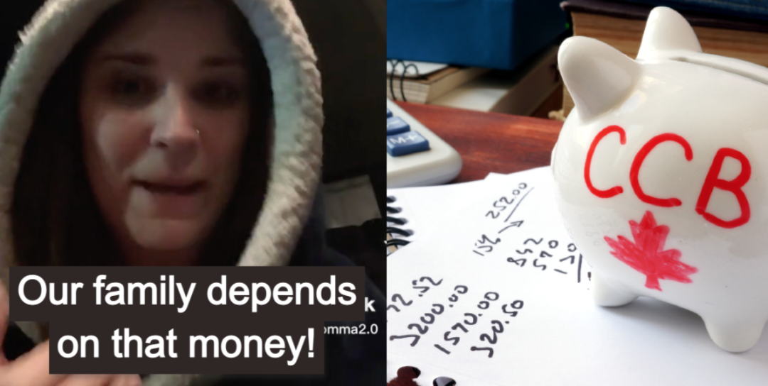 凌晨3点发现本月牛奶金没了!大批加拿大父母在线抱怨:没有牛奶金怎么活? 凌晨3点发现本月牛奶金没了!大批加拿大父母在线抱怨:没有牛奶金怎么活?