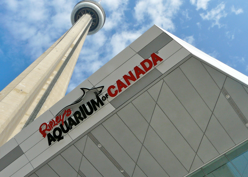 【Sea The Sky】CN Tower+水族馆联合优惠“海空”套票，立省$13！