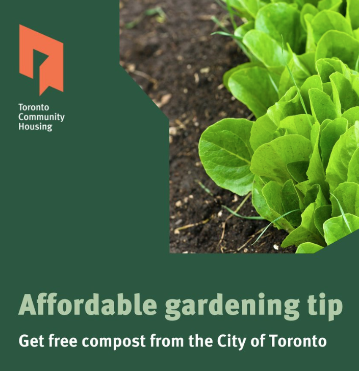 有个大胆的想法:蔬菜自由!大多伦多各区免费领堆肥土攻略:数量有限,壮丁自备! 有个大胆的想法:蔬菜自由!大多伦多各区免费领堆肥土攻略:数量有限,壮丁自备!