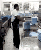 少读莎士比亚，多学点手艺！安省将推行高中最后一年学技术